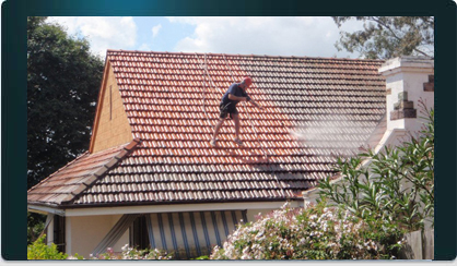 Need Your Roof Cleaned Or Restored?