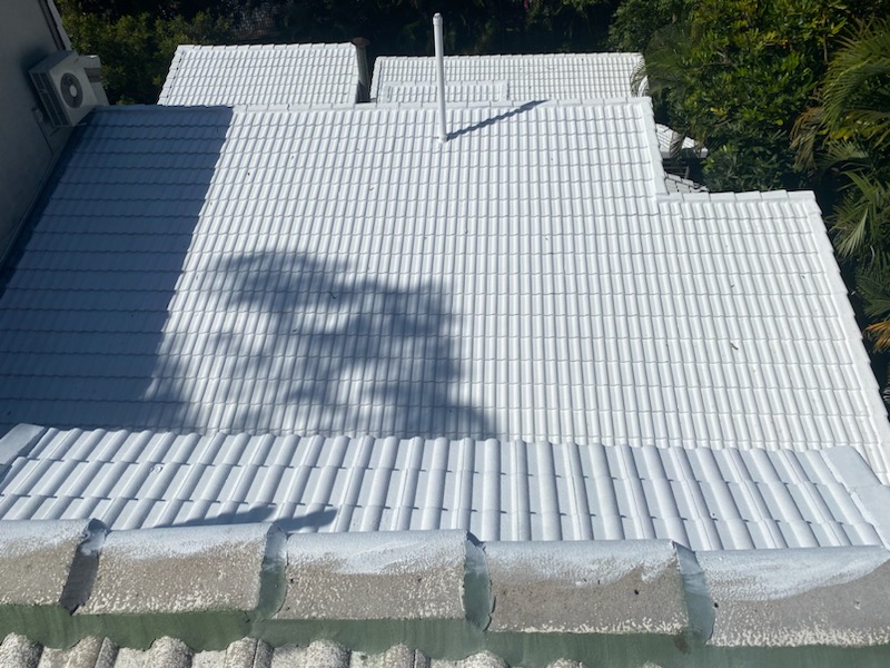 Tile Roof Restoration