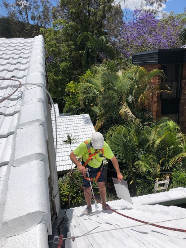 Roof Painting
